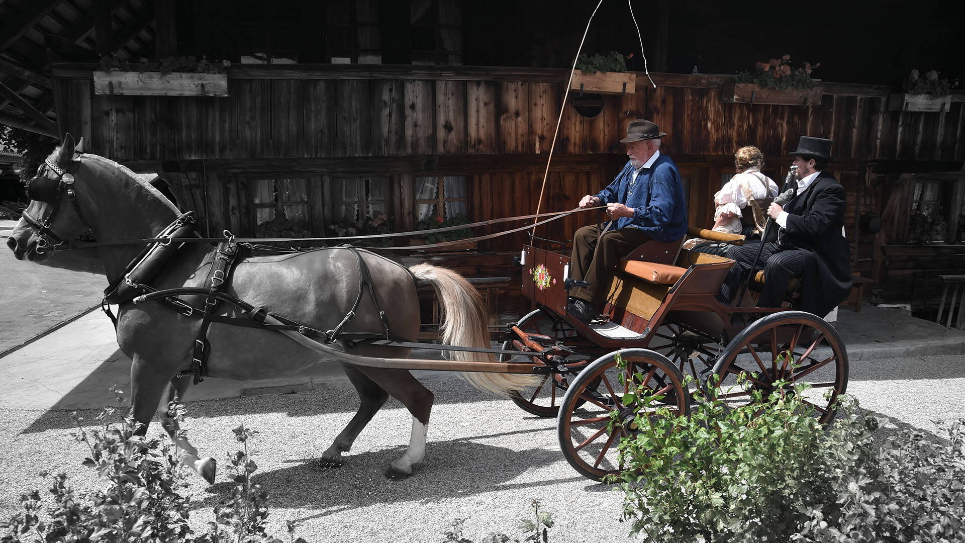pferd_und_wagen1.jpg