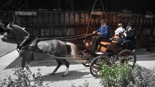 pferd_und_wagen1.jpg